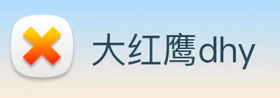 大红鹰dhy logo